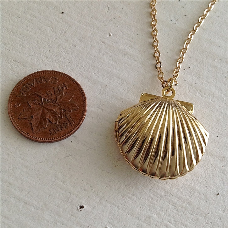 Sea Shell Locket Necklace in Gold