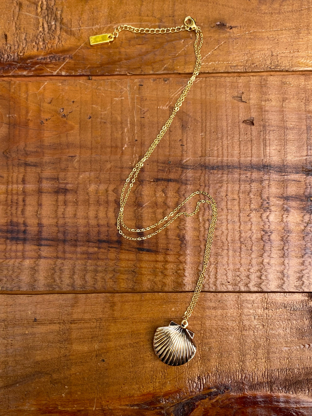 Sea Shell Locket Necklace in Gold