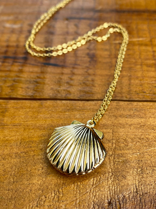 Sea Shell Locket Necklace in Gold