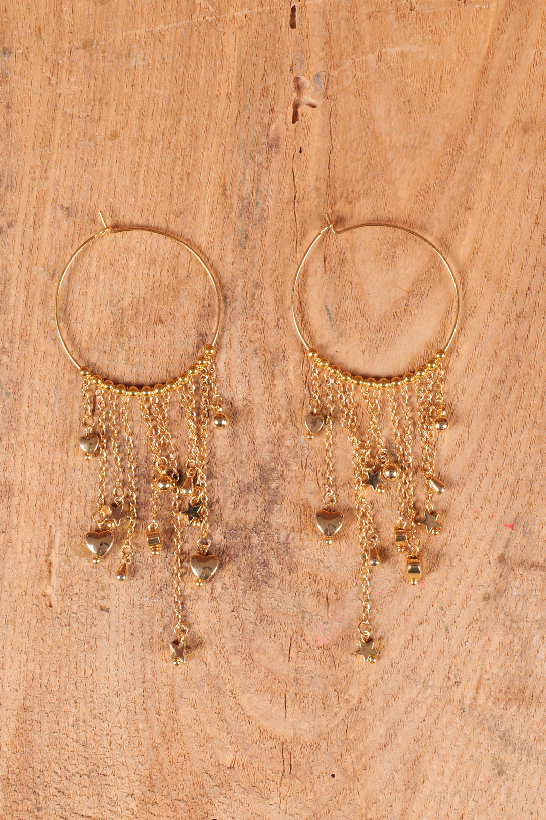 Ring & Charms Earring